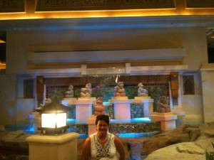 Dag 17 Grand Canyon- Las Vegas