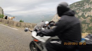 Dag 11