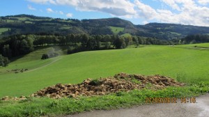 Dag 13 mer bilder