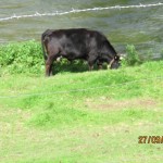Dag 13 mer bilder