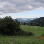 Dag 13 mer bilder