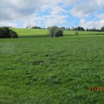 Dag 13 mer bilder